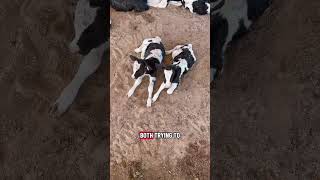 Calf position is very important