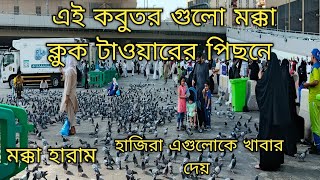 মক্কায় হাজিরা কবুতর গুলোকে খাবার নিয়ে থাকেন