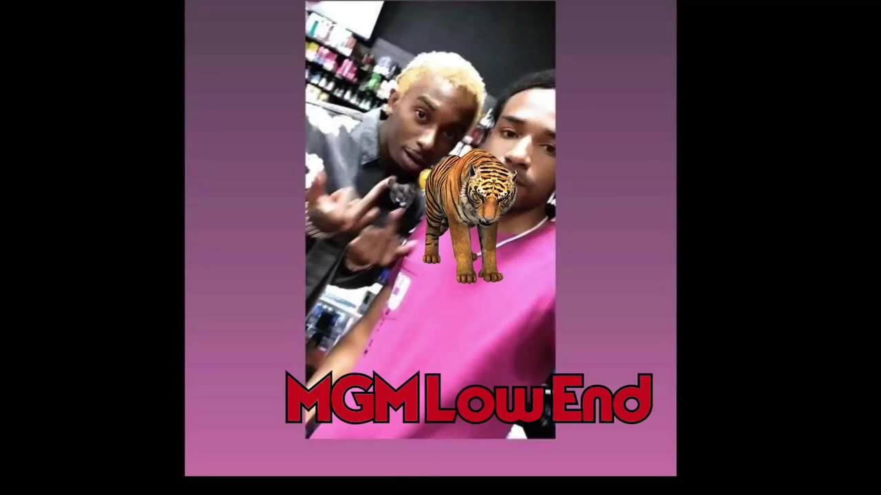 Playboi Carti - Cartier Lens Snippet Extractions 2 (xtc)