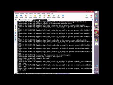 RNA Sequencing 7: