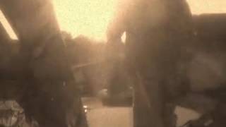 Cannabull the trailer