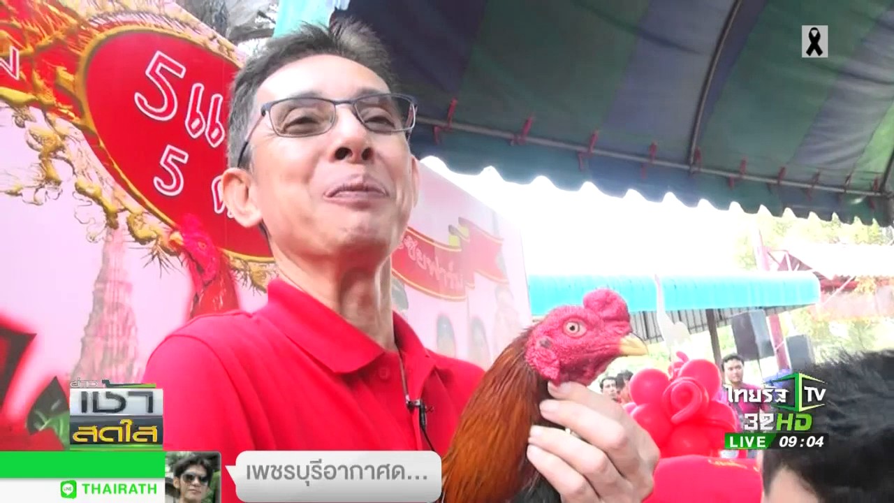 เปิดตัวไก่ชน ค่าตัว 22 ล้าน | 06-03-60 | ข่าวเช้าสดใส