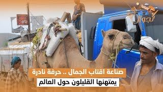 صناعة اقتاب الجمال    حرفة نادرة يمتهنها القليلون حول العالم