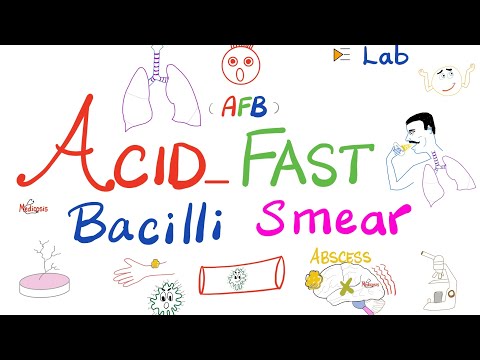 וִידֵאוֹ: האם Bacillus subtilis חומצה מהירה?