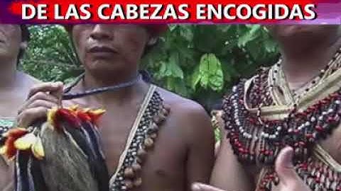 Las cabezas encogidas