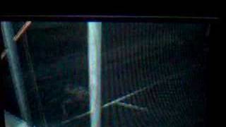 Siren - A Spider Shibito Does A Dance Bug