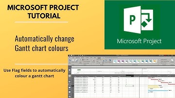 Microsoft Project for managers. Change the colour of a Gantt chart automactically.