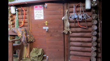 The snare line (rabbits) - how to catch, skin, butcher & eat!