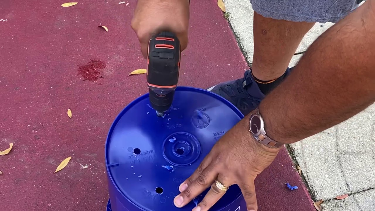 How to grow tomatoes and 5 gallon buckets YouTube