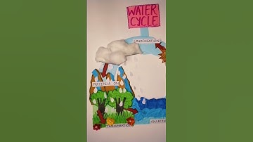 water cycle project #model  #science #project #teaching #educational