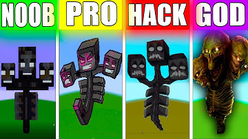NOOB VS PRO VS HACKER VS GOD WITHER Minecraft Pixel Art