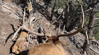 Utah Limited Entry Elk Hunt | Hunting 2025