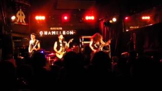 Celebrity Dying to shine 524 chameleon Wealth