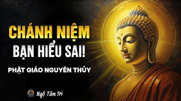 BÍ MẬT của "Chánh Niệm" mà Phật Giáo Nguyên Thủy dạy | Ngộ Tâm Trí