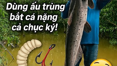 Câu Cá Sông Amazon: Mỗi Cú Ném Cần Là Một Bí Ẩn #viralvideo #video #amazonfinds