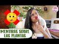 7 MITOS SOBRE LAS PLANTAS DE INTERIOR QUE DEBES DEJAR DE CREER│Candy Bu