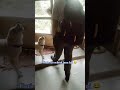 School jana hai
