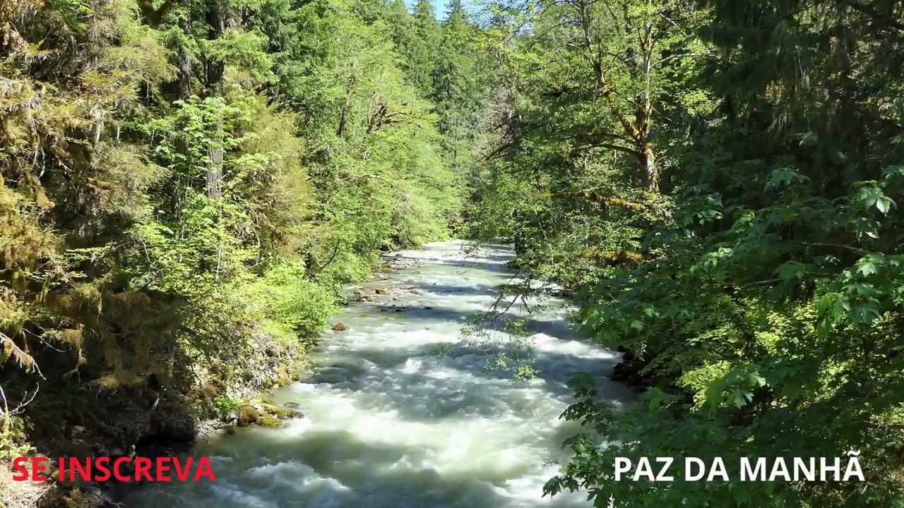 A ORAÇÃO DO JUSTO #oraçãodamanhã #caminhoparaumavidamelhor