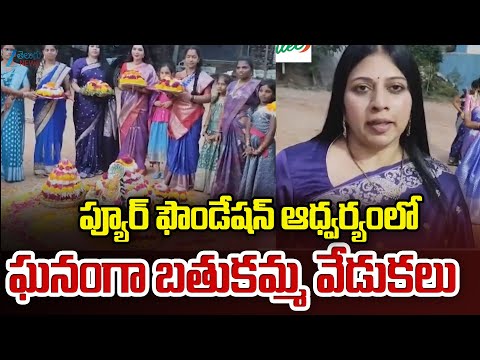 Pure Foundation Celebrates Bathukamma | ప్యూర్‌ ఫౌండేషన్‌ ఆధ్వర్యంలో ఘనంగా బతుకమ్మ వేడుకలు - ZEE24TELUGUNEWS