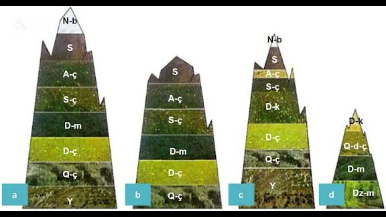 Azərbaycanda landşaft tipləri🌳🌲🐺