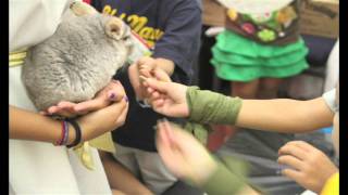 VBS 2010: Egypt (Recap and Highlights)