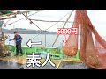 このド素人、勘が良すぎました・・・