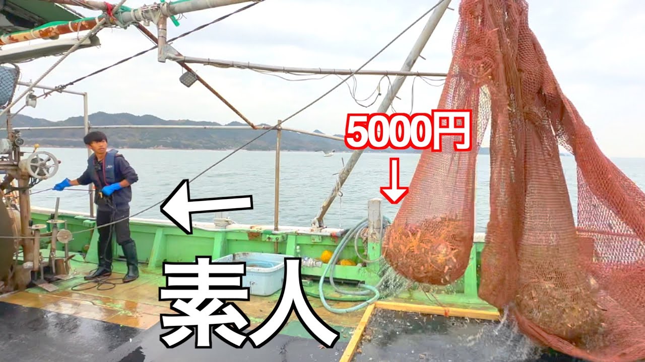 このド素人、勘が良すぎました・・・