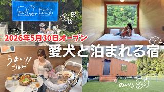 2026年7月11日グランドオープン❗️大型犬もOK◎夏のお泊まりはここ!都心から1時間半で自然と触れ合う愛犬と泊まれる宿誕生【Ruff-Laugh@千葉県 】