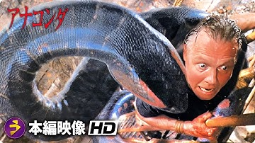 モンスターパニックホラー映画『アナコンダ』本編映像(丸ごと飲み込んだ - 最後のシーン)