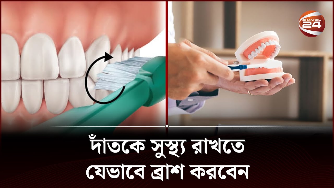 যেভাবে ব্রাশ করলে দাঁত ভালো থাকবে Tooth Brushing Technique Health Tips Bangla Channel 24
