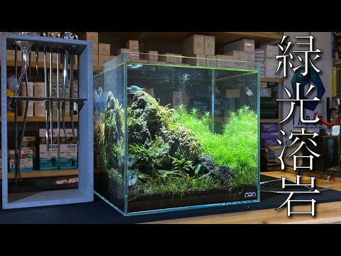 レイアウト完成品 白流石 流木 30キューブ水槽 レイアウト 石組 親石付 レイアウト完成品 白流石 流木 30キューブ水槽 レイアウト 石組