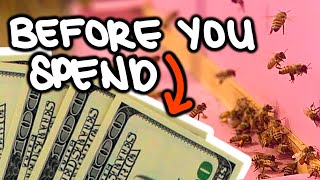 7 Things to do Before Spending Money on Beekeeping | Beginning Beekeeping