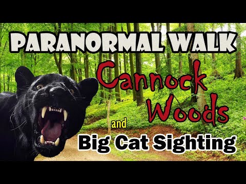 Paranormal Walk | Cannock Chase | Big Cat Sighting