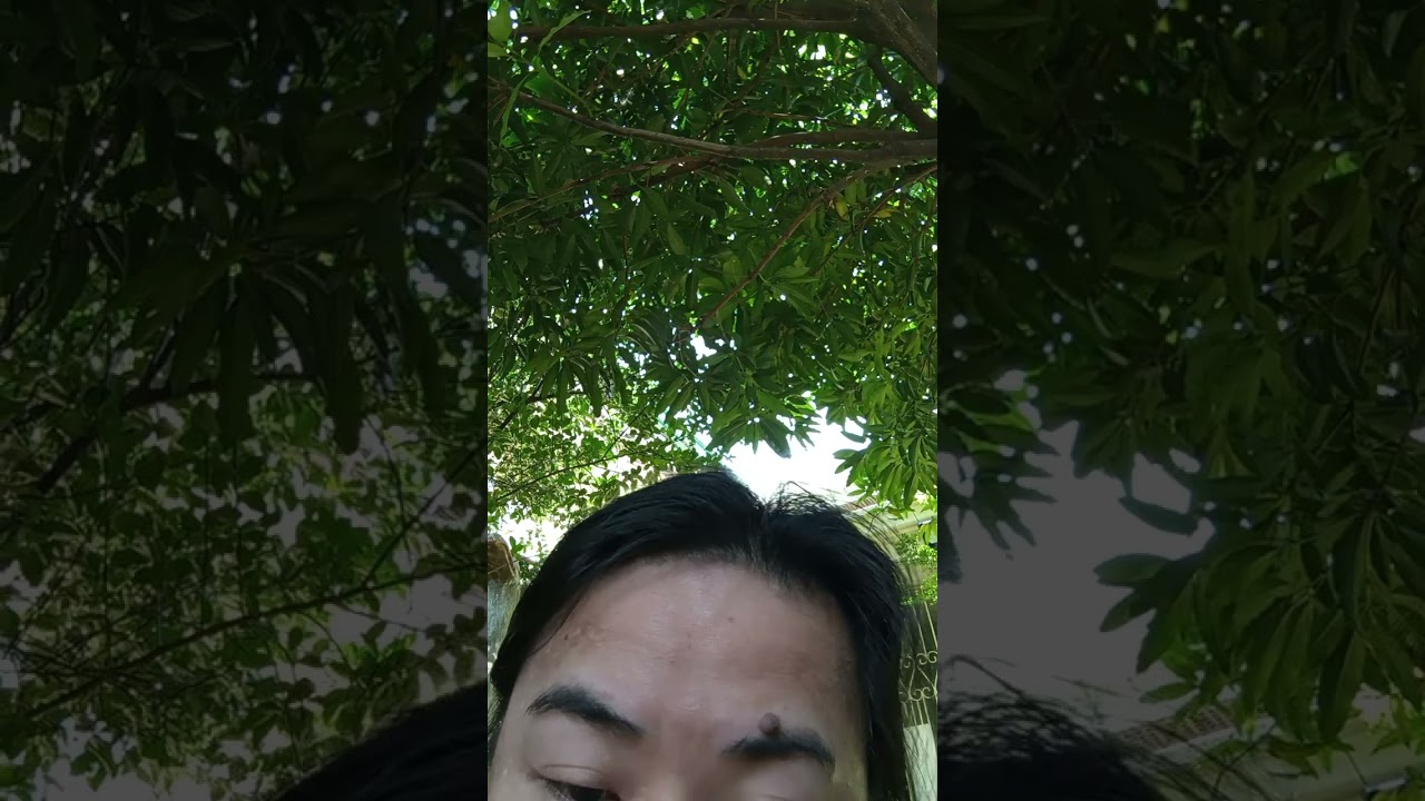 Imegrant ofw overses workers old youngest teneagers banned 🚫 usa Canada Australia UK ww3