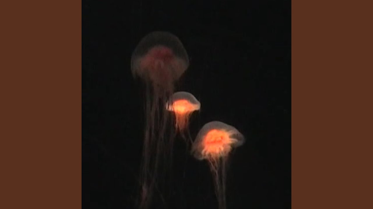 Watch intercession on YouTube Watch intercession on YouTube