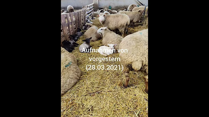 Kay Krogmann, Cuxhaven