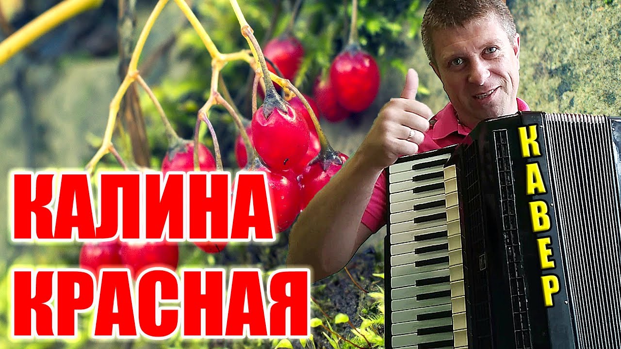 Калина красная музыкальный сборник Калина красная музыкальный сборник