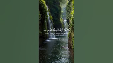 لَّقَدْ كَفَرَ الَّذِينَ قَالُوا❤️ آية موثرة و قريبة إلى القلوب القارئ إسلام صبحي سورة المائدة