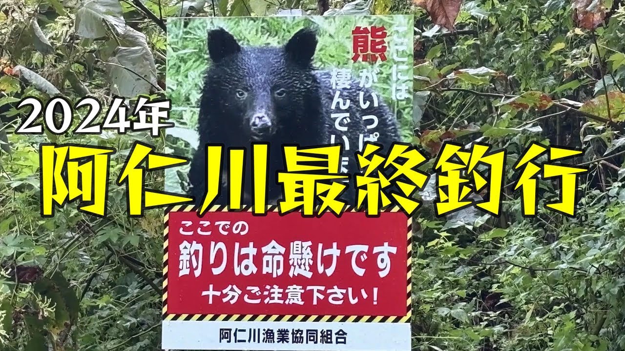 【鮎釣り】今年最後も阿仁河川公園で釣ってみた。