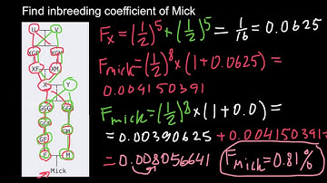 How to Find Inbreeding Coefficient (practice problem)