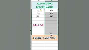 Allow Zero before Value MS Excel