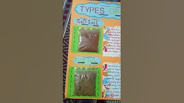 types of soils school project