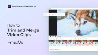 How to Trim Videos on Mac | Wondershare UniConverter