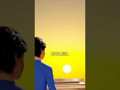 Regarder le coucher