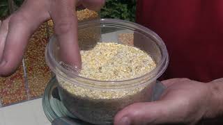 Corn School: Developing a better DON test