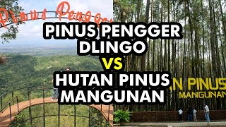 DUA HUTAN PINUS PALING POPULER DI JOGJA!!! PINUS PENGGER DLINGO & HUTAN PINUS MANGUNAN screenshot 4