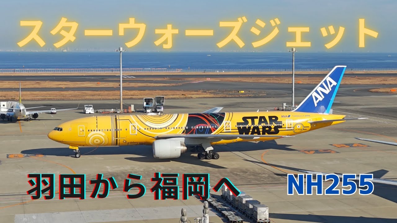 【特別塗装機】 ANA スターウォーズジェット(C-3PO)　羽田から福岡へ！