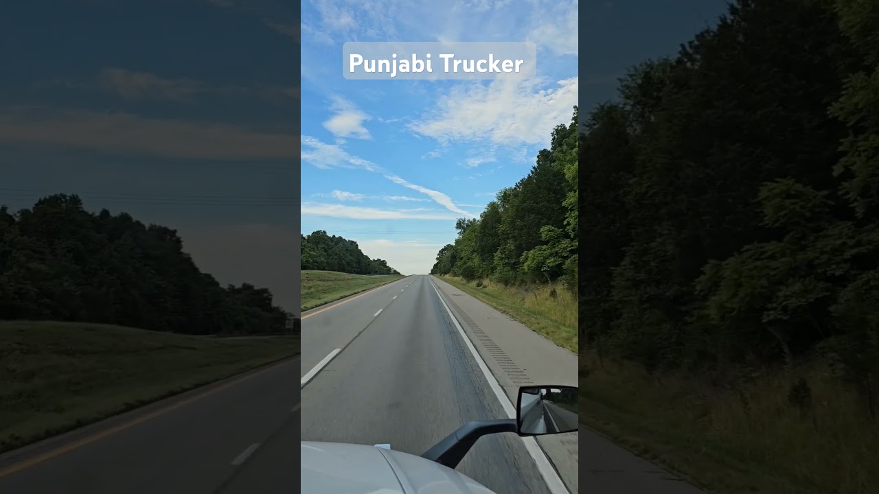 #punjabitrucker13
