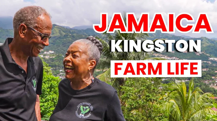 Organic Farming in JAMAICA and the Secrets of a Happy Life. thumbnail