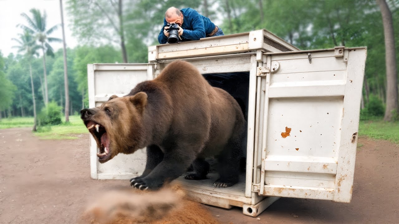 Watch These Animals Being Freed For The First Time!